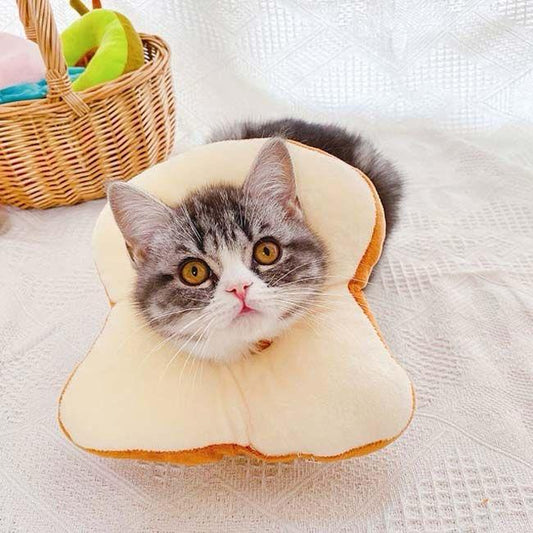 Petzy ToastCone™ – Soft Recovery Collar for Cats